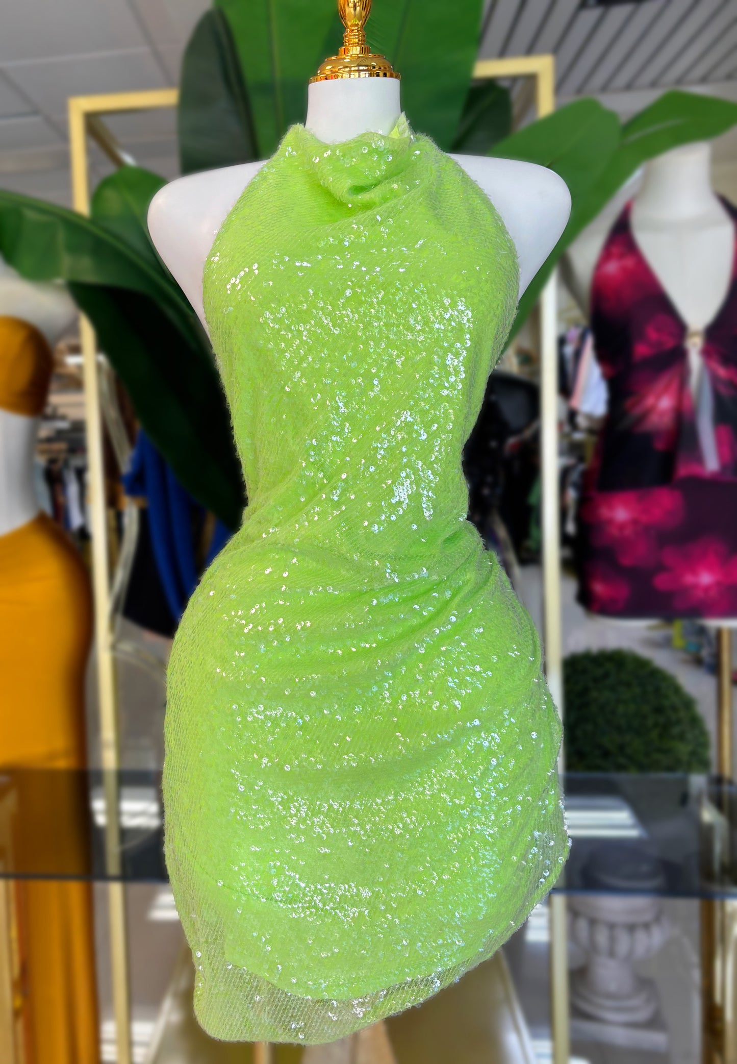 Mireddy Lime-Pink Dress (2 colores)
