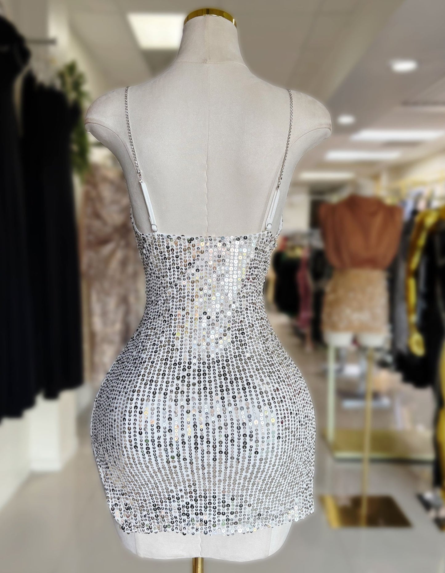 Katta Sequin Dress (Large)