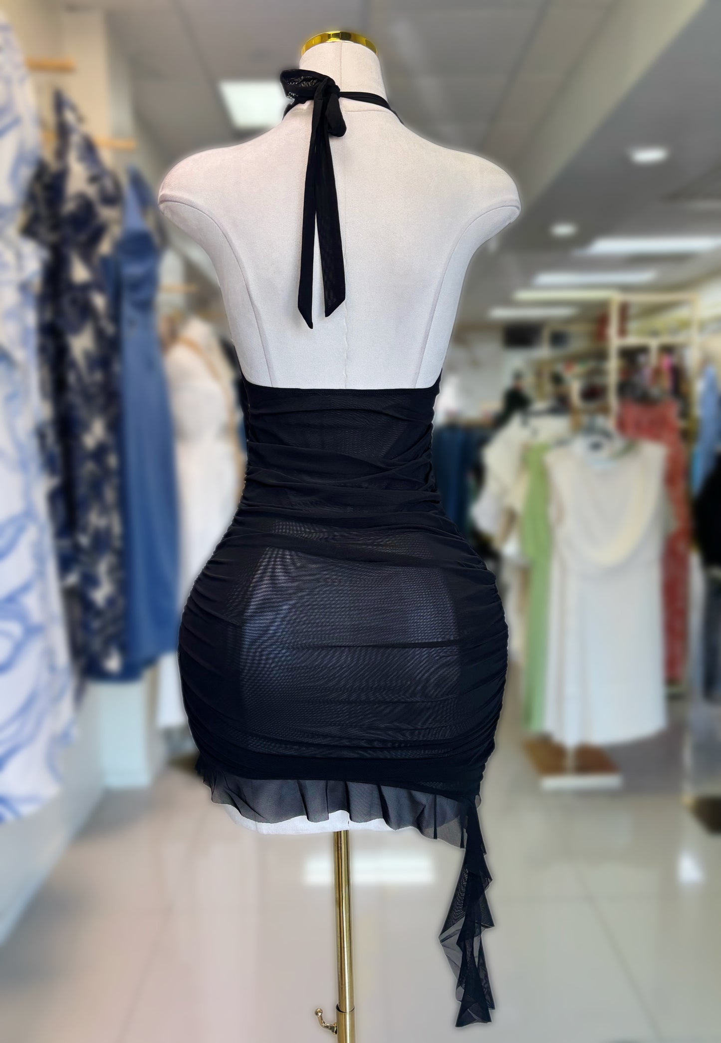 Danna Mesh Dress