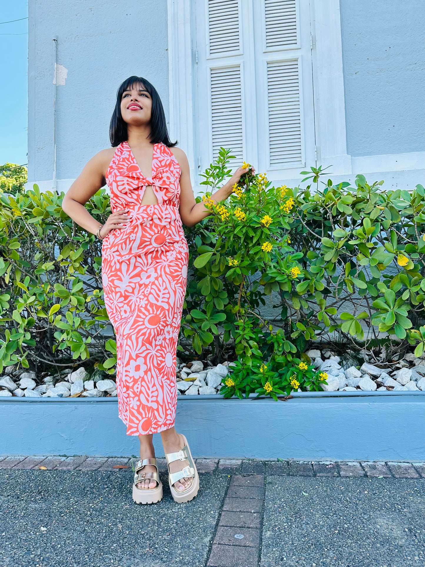 Tatianna Dress