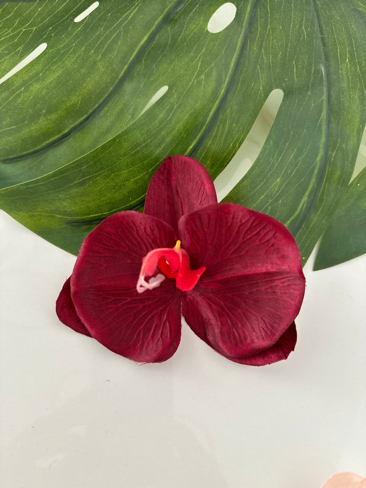 Orquídea Tropical 🌺