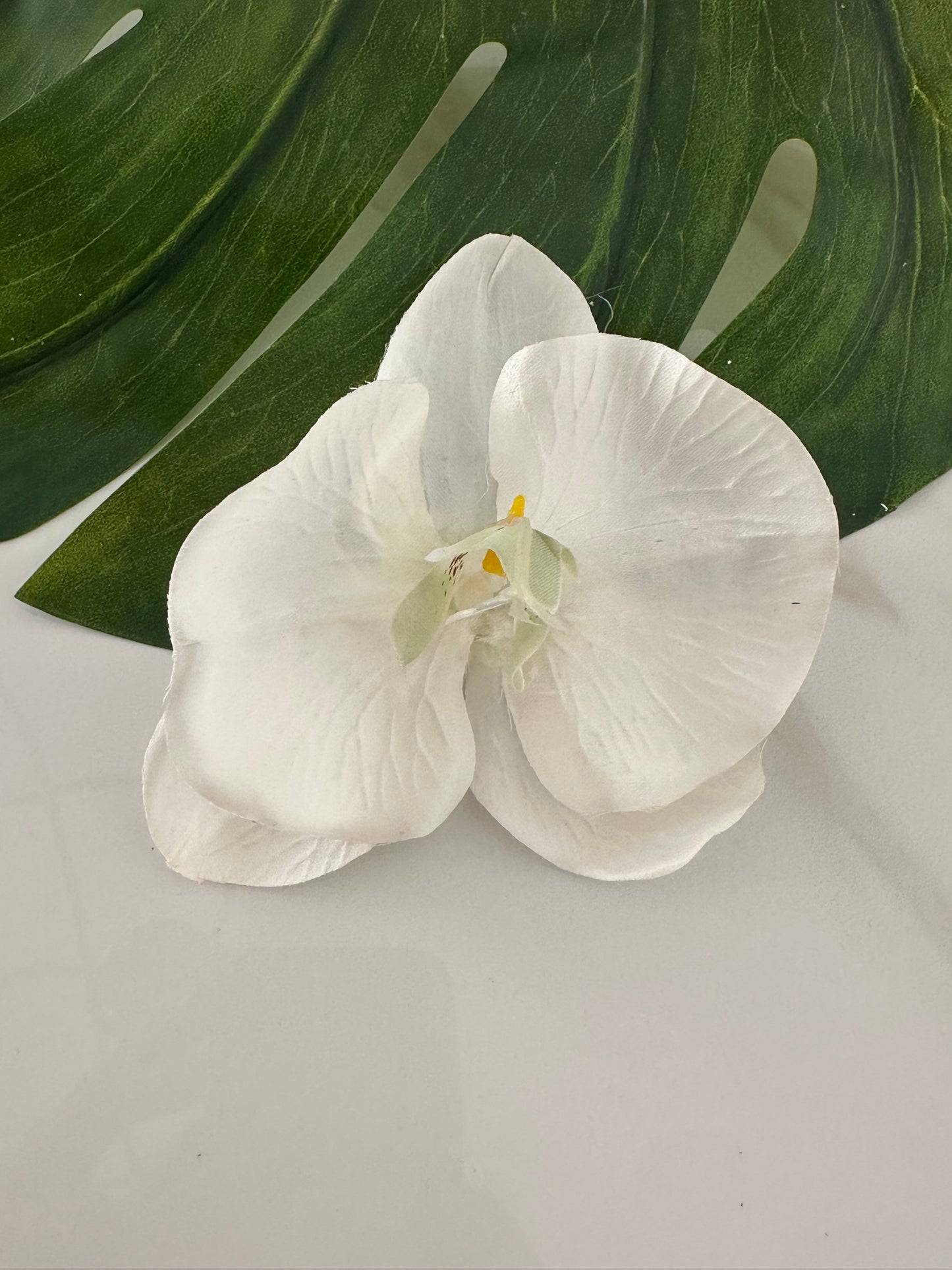 Orquídea Tropical 🌺
