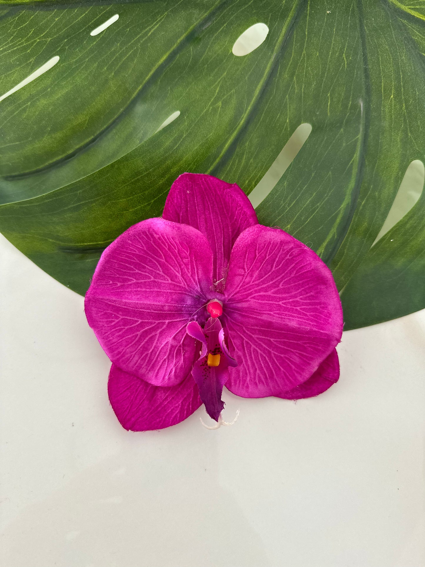 Orquídea Tropical 🌺