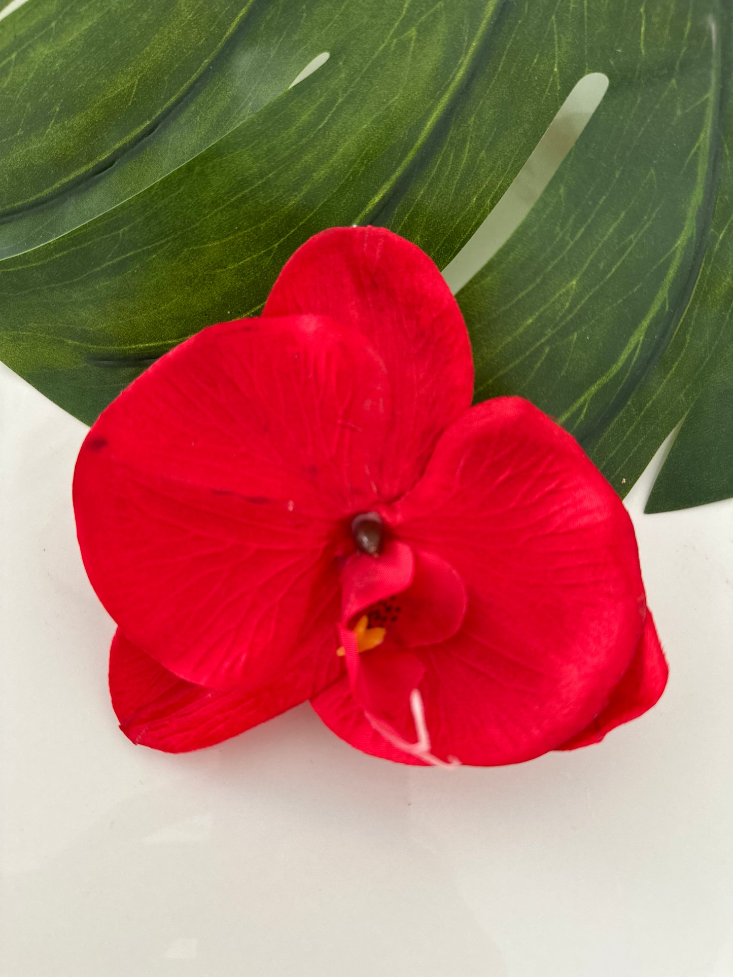 Orquídea Tropical 🌺