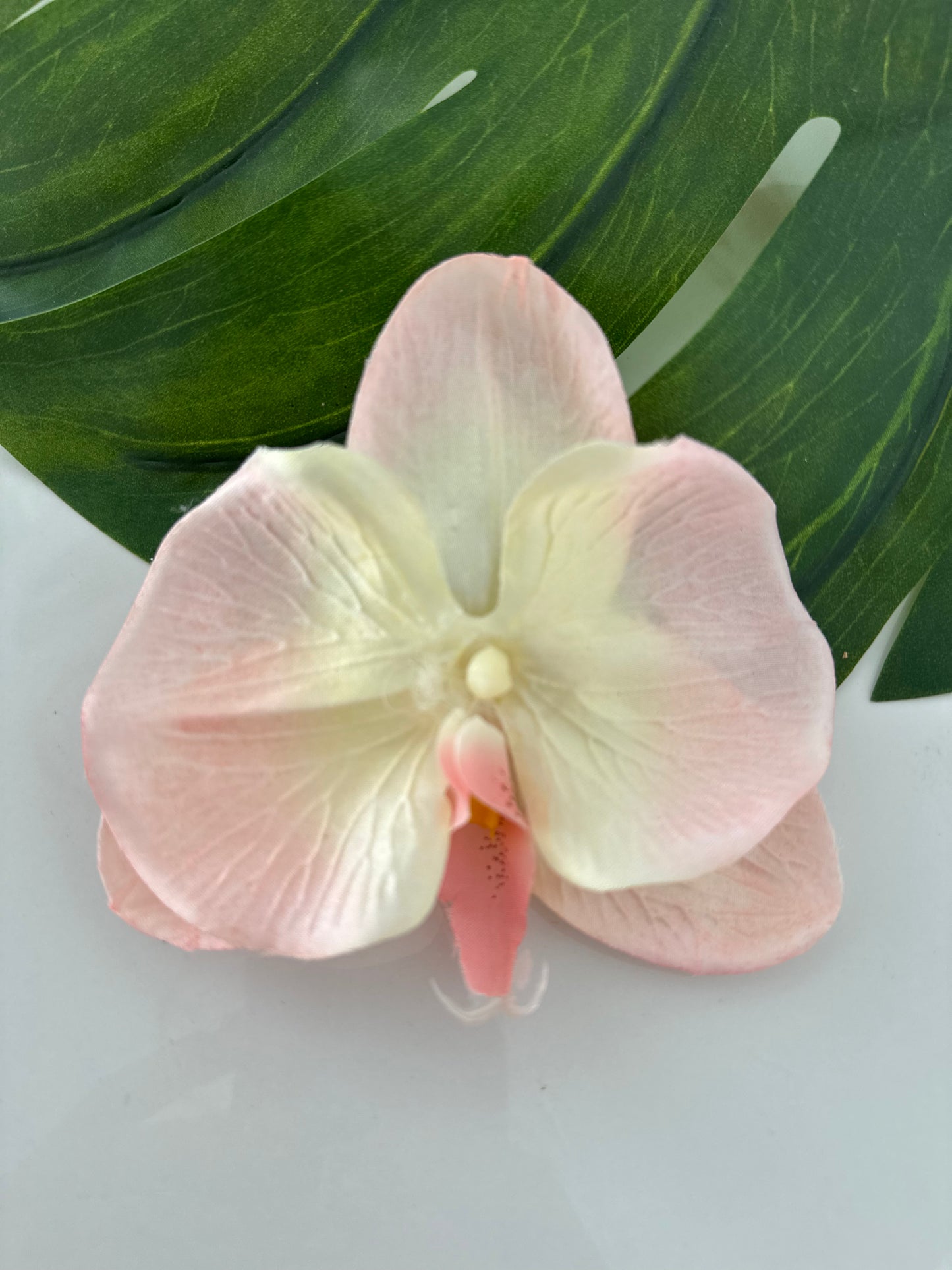 Orquídea Tropical 🌺