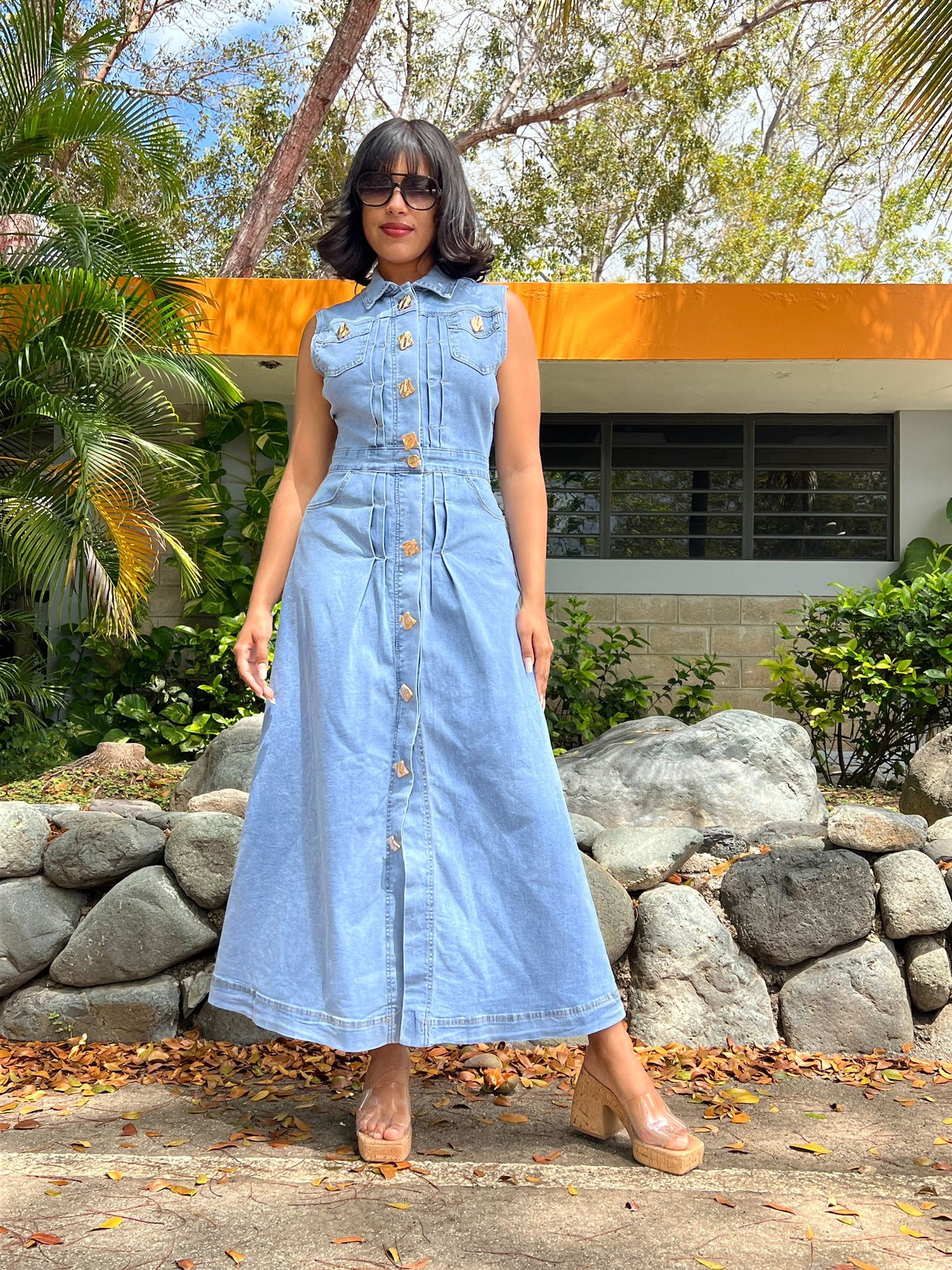 Lourdes Denim Maxi Dress