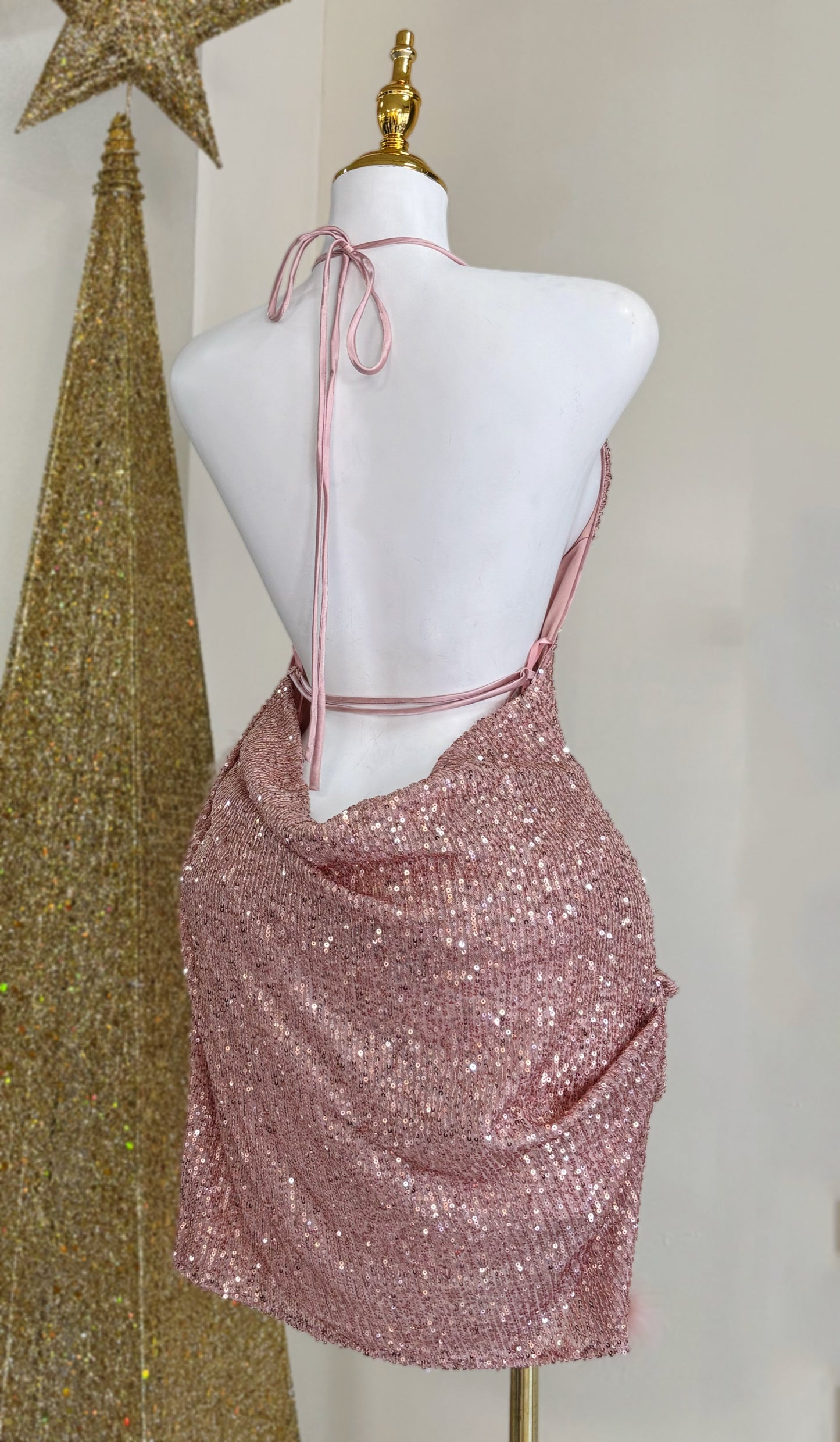 Amira Sequin Feather Dress