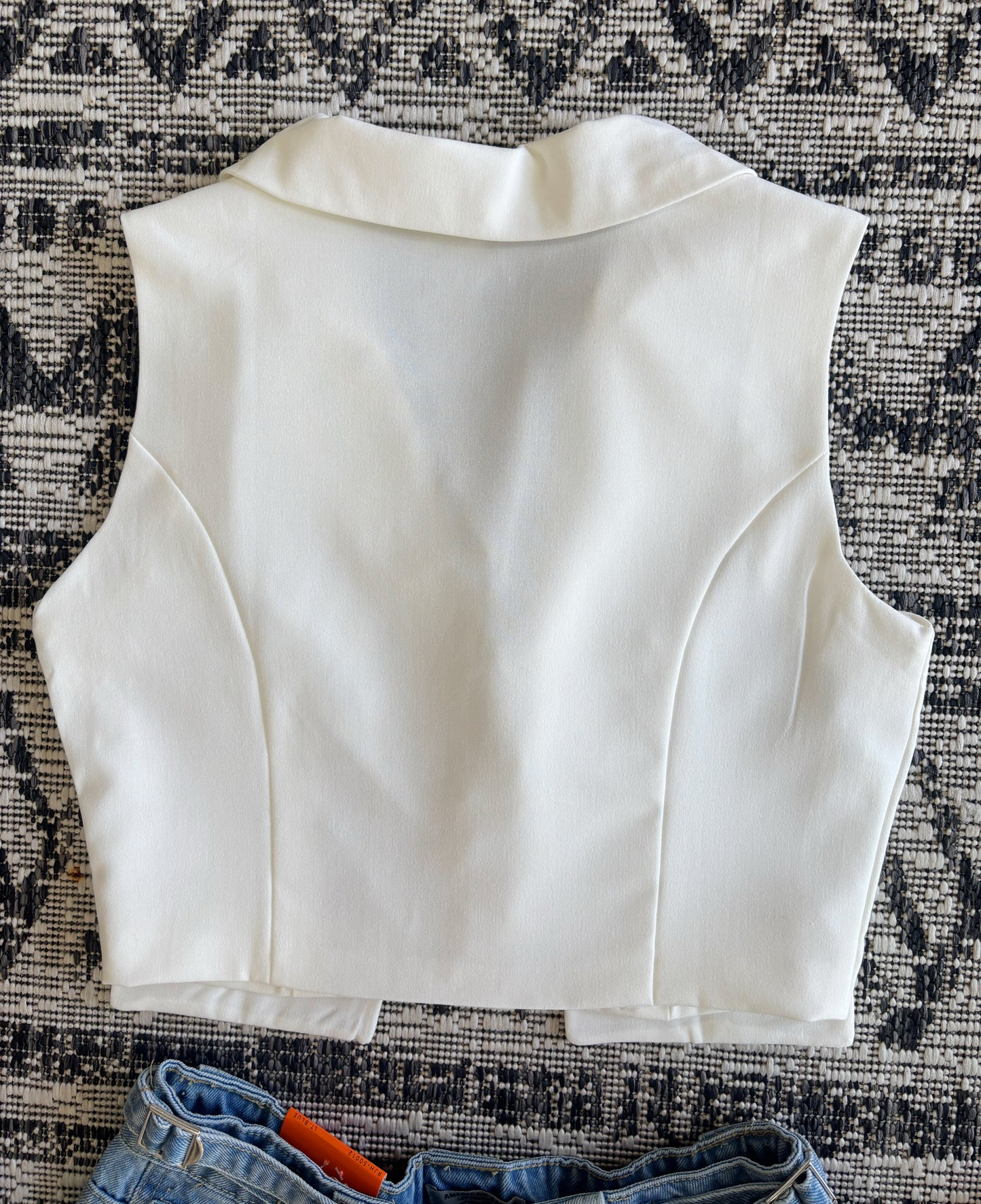 Carol Vest