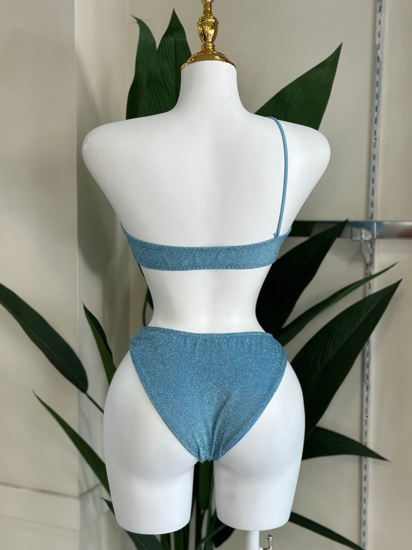 Swimsuit Brillo