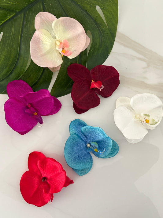 Orquídea Tropical 🌺