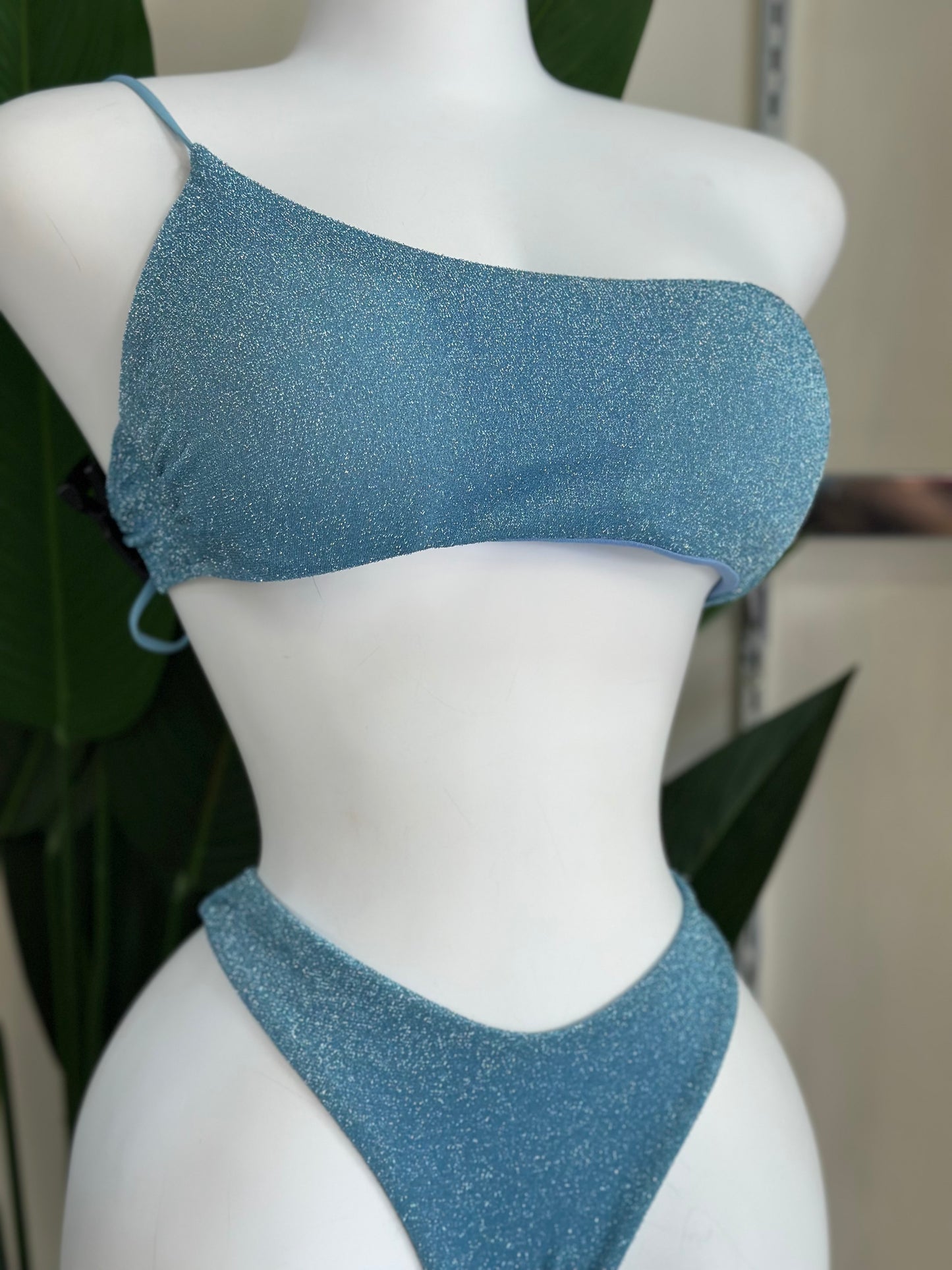 Swimsuit Brillo