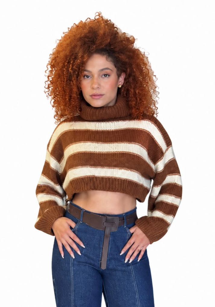 Bianca Turtle Neck Crop Sweater