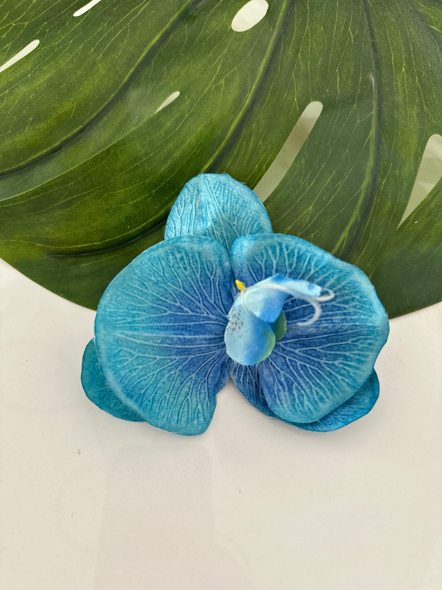 Orquídea Tropical 🌺