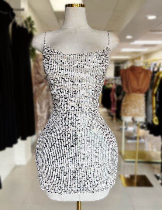 Katta Sequin Dress (Large)