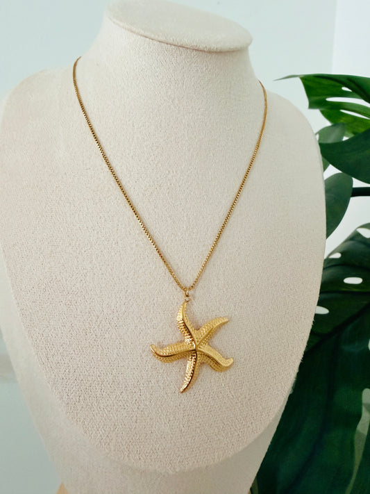 Estrella de Mar